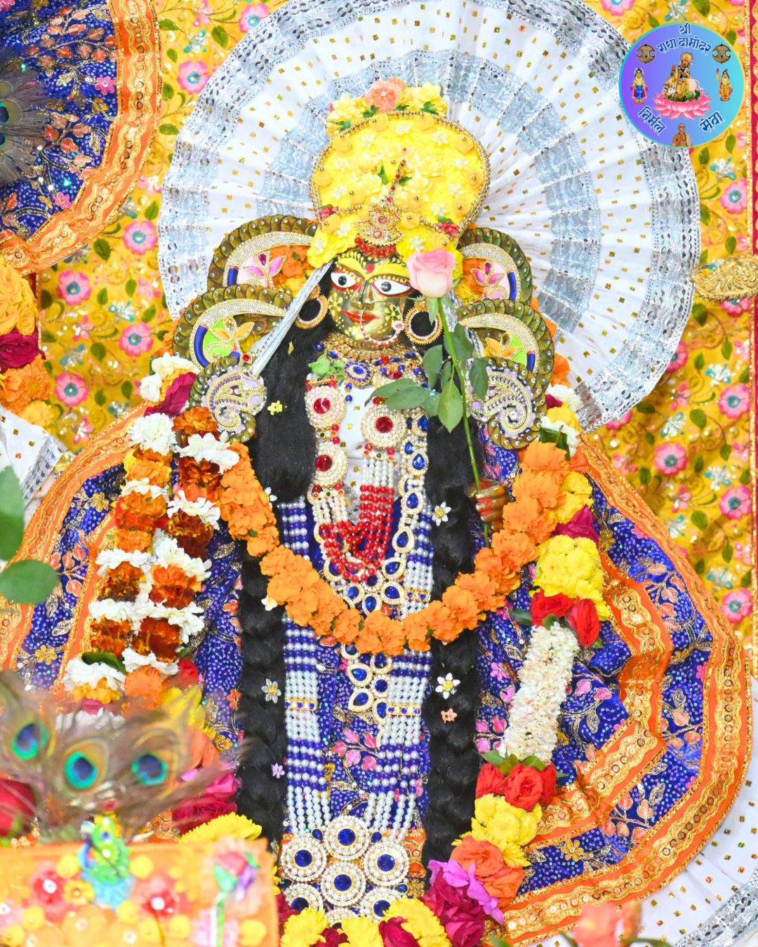 Shri Gaur Nitai